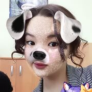  ,   , 20 ,   ,   , 