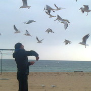 ���������� ��������, ���� ������� ������, 50 ���, ������������ ��� ����� � ���������, c�������� ���������