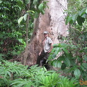 ���������� ����, ���� ������� Strannik 96, 59 ���, ������������ ��� ���������