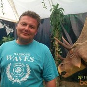 ���������� ������, ���� ������� ������, 50 ���, ������������ ��� ������