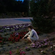 ���������� ���������, ���� ������� �������, 39 ���, ������������ ��� ����� � ���������, c�������� ���������