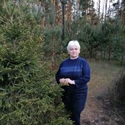 ���������� ������, ���� ������� ����, 59 ���, ������������ ��� c�������� ���������