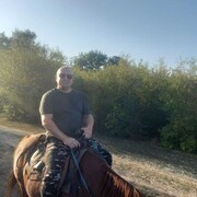  ,   , 43 ,     , c , 