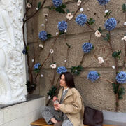 ���������� ���������, �������