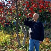 ���������� �����-���������, ���� ������� ����, 60 ���, ������������ ��� ������, ����� � ���������, c�������� ���������, ���������