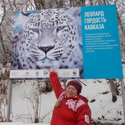  --,   , 62 ,     , c 