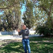 ���������� �����������, ���� ������� ������, 28 ���, ������������ ��� ������, ����� � ���������