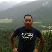  ,    , 37 ,   ,   