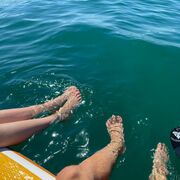 ���������� ������, ���� ����� �����, 23 ����, ������������ ��� ������, ����� � ���������, ���������