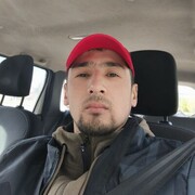 ���������� �������, ���� ������� Malla N S, 33 ����, ������������ ��� ������, ����� � ���������, c�������� ���������