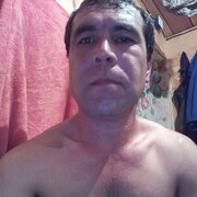 ���������� �������, ���� ������� ����, 43 ����, ������������ ��� ������, ���������