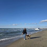  ,   , 37 ,     , c , 