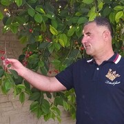 ���������� �����������, ���� ������� �����, 47 ���, ������������ ��� ������, ����� � ���������, c�������� ���������