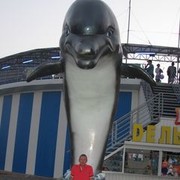  ,   Sanya, 48 ,     , c 