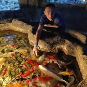 ���������� �������, ���� ������� Yanik, 44 ����, ������������ ��� ������, ����� � ���������, c�������� ���������