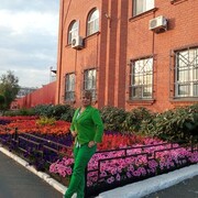 ,   , 41 ,   ,   