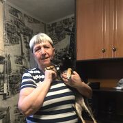  ,   , 71 ,   ,   