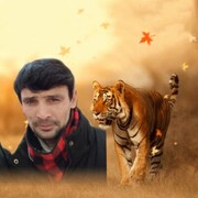 ���������� ���������, ���� ������� �����, 34 ����, ������������ ��� c�������� ���������