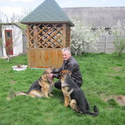 ���������� ����������, ���� ������� ALEX, 56 ���, ������������ ��� ������, ����� � ���������, c�������� ���������