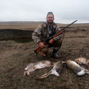 ���������� ������-��-����, ���� ������� ������, 36 ���, ������������ ��� ������, ����� � ���������