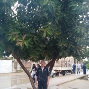   ,   , 36 ,     , c 
