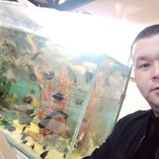  ,   Orda, 44 ,   ,   , c , 