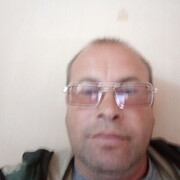  ,  , 41