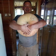 ���������� ������, ���� ������� ����, 41 ���, ������������ ��� ������, ����� � ���������, c�������� ���������