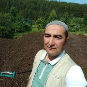 ���������� ����� �������, ���� ������� ����, 43 ����, ������������ ��� ������, ����� � ���������, c�������� ���������, ���������