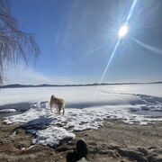 ���������� ������������, ���� ������� �����, 31 ���, ������������ ��� ������, ����� � ���������, ���������