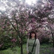 ,   , 40 ,   , 
