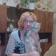  -,   , 41 ,   ,   , c 