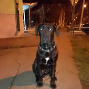  ,   , 38 ,   ,   , c , 