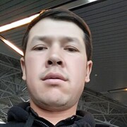 ���������� ���������, ���� ������� Elbek, 31 ���, ������������ ��� ������, ����� � ���������