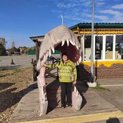 ���������� ���������, ���� ������� �����, 46 ���, ������������ ��� ������, ����� � ���������