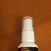 ���������� �����-���������, ���� ������� ����, 33 ����, ������������ ��� ������, ����� � ���������