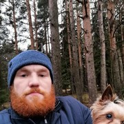 ���������� �����-���������, ���� ������� ����, 41 ���, ������������ ��� ������, ����� � ���������, c�������� ���������