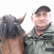 ���������� ���������, ������� �������, 43