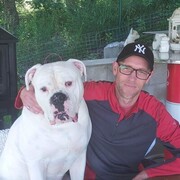  Trhove Sviny,   , 42 ,   ,   , c , 