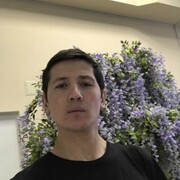 ���������� ������������, ���� ����� ���������, 4 ����, ������������ ��� ������, ����� � ���������