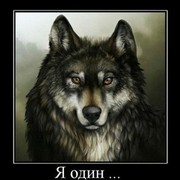  ,  , 40