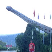 ���������� �������, ���� ������� �����, 55 ���, ������������ ��� ������