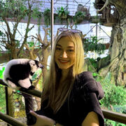 ���������� �������, �������