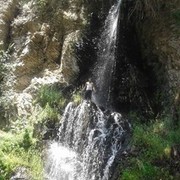  -,   Aharon, 38 ,   ,   , c 