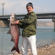  ,   , 59 ,     , c 