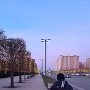  ,   , 66 ,   