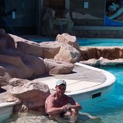 ���������� ������, ���� ������� �����, 38 ���, ������������ ��� ������, ���������