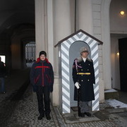 ���������� ��������������, ���� ������� Stallker, 31 ���, ������������ ��� ������, ����� � ���������, c�������� ���������