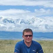 ���������� ����, ���� ������� �������, 43 ����, ������������ ��� ������, ����� � ���������, c�������� ���������, ���������