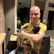 ,   , 33 ,     , c 